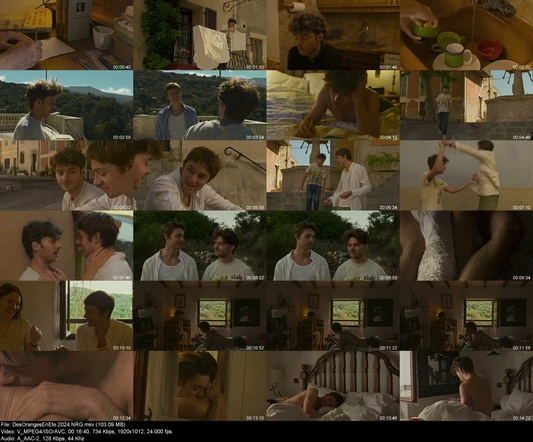 DesOrangesEnEte.2024.NRG preview