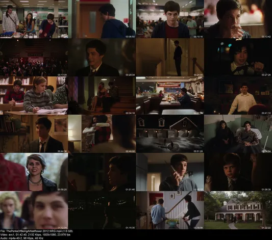 ThePerksOfBeingAWallflower.2012.NRG preview ThePerksOfBeingAWallflower.2012.NRG preview
