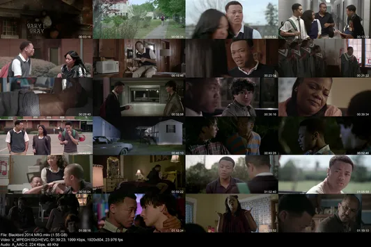 Blackbird.2014.NRG preview Blackbird.2014.NRG preview