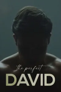 ElPerfectoDavid.2021.NRG cover