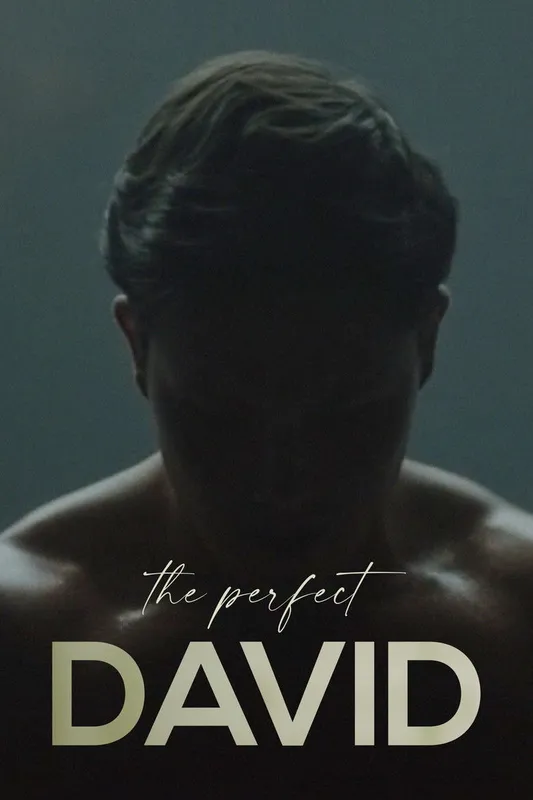 ElPerfectoDavid.2021.NRG cover