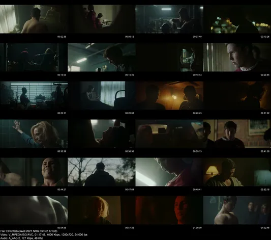 ElPerfectoDavid.2021.NRG preview