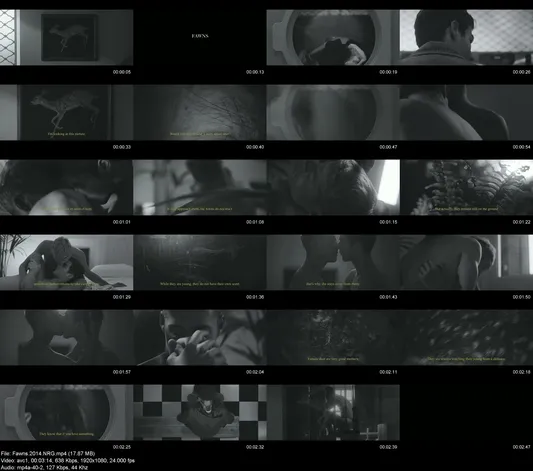 Fawns.2014.NRG preview