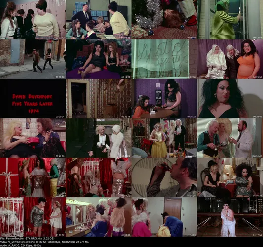 FemaleTrouble.1974.NRG preview