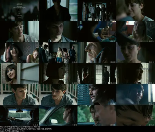 ItsOnlyTheEndOfTheWorld.2016.NRG preview