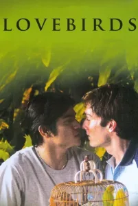 Lovebirds.2008.NRG cover