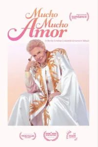 MuchoMuchoAmor.TheLegendofWalterMercado.2020.NRG cover