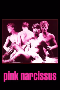 PinkNarcissus.1971.NRG cover