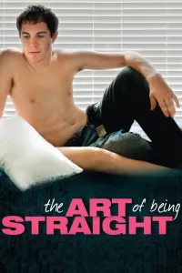 TheArtOfBeingStraight.2008.NRG cover