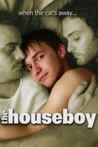 TheHouseboy.2007.NRG cover